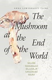 Bokk cover: The mushroom at the end of the world