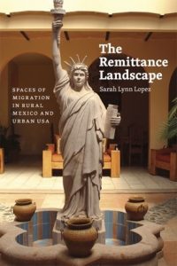 Book cover: The remittance landscape