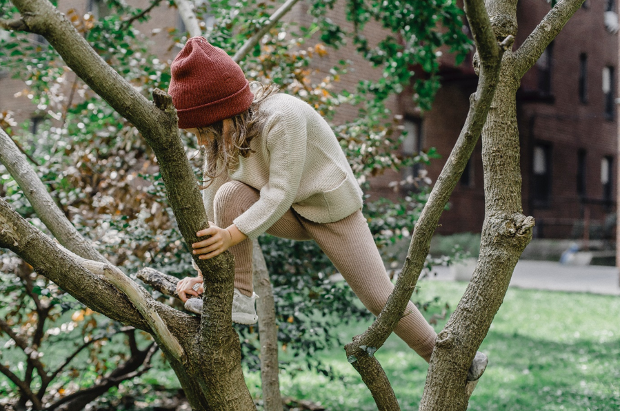 A child climbing on a tree.