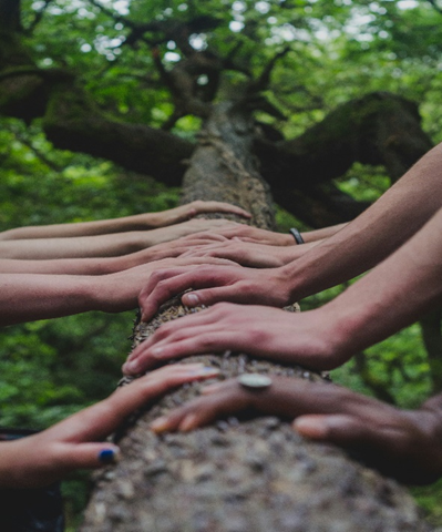 Picture of hands on a tree