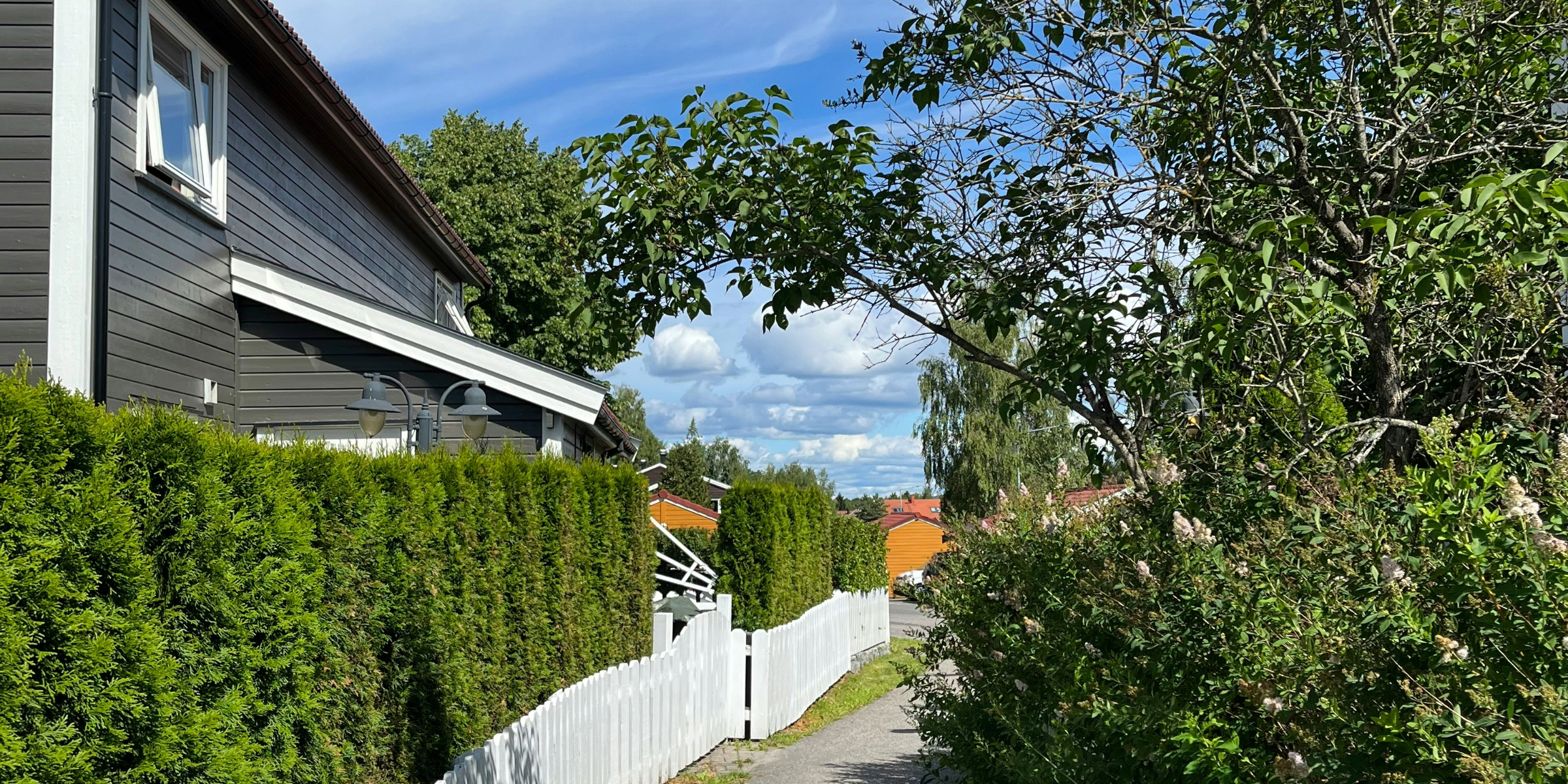 rekkehus med hekk foran