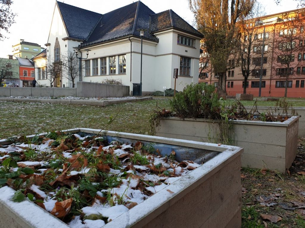 Garden boxes at the library in Oslo during winter. Credit: Ida Tolgensbakk