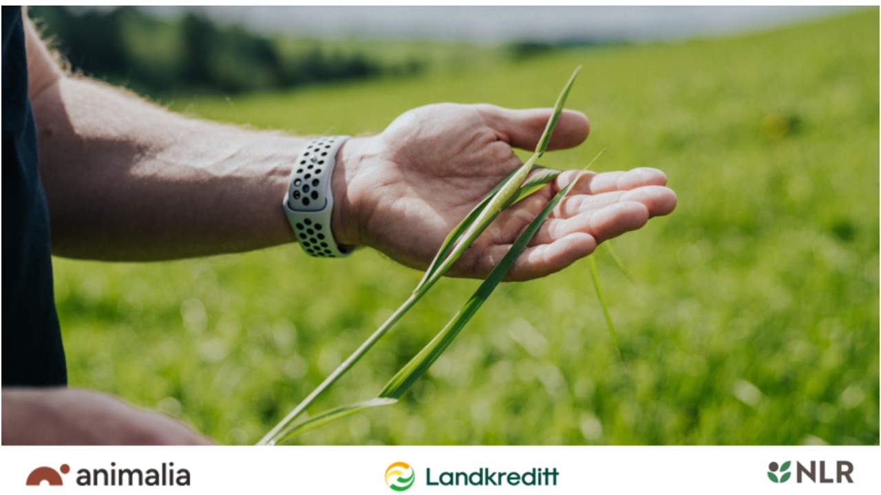 Banner Landbrukets bærekrafttskonferaanse