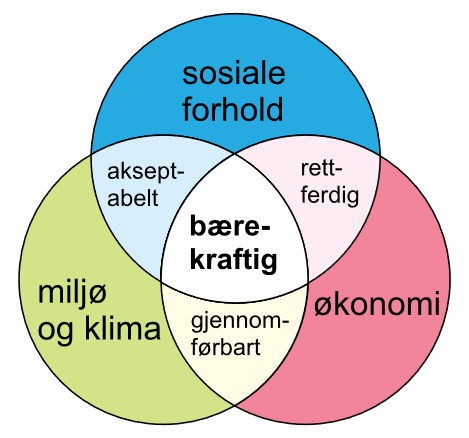 Problemstillinger Om B rekraft Som Inngang Til Kritisk Tenkning 