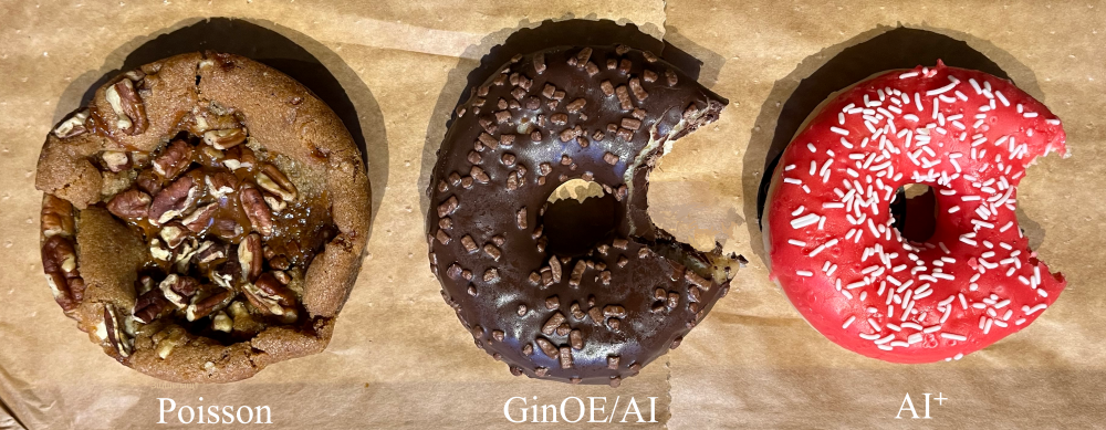 Donut Physics - Quantum Hub