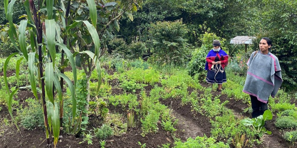 The picture shows two Colombian people in the field with greens and vegetables like corn.
