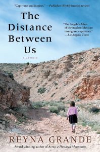 The book cover of The distance between us